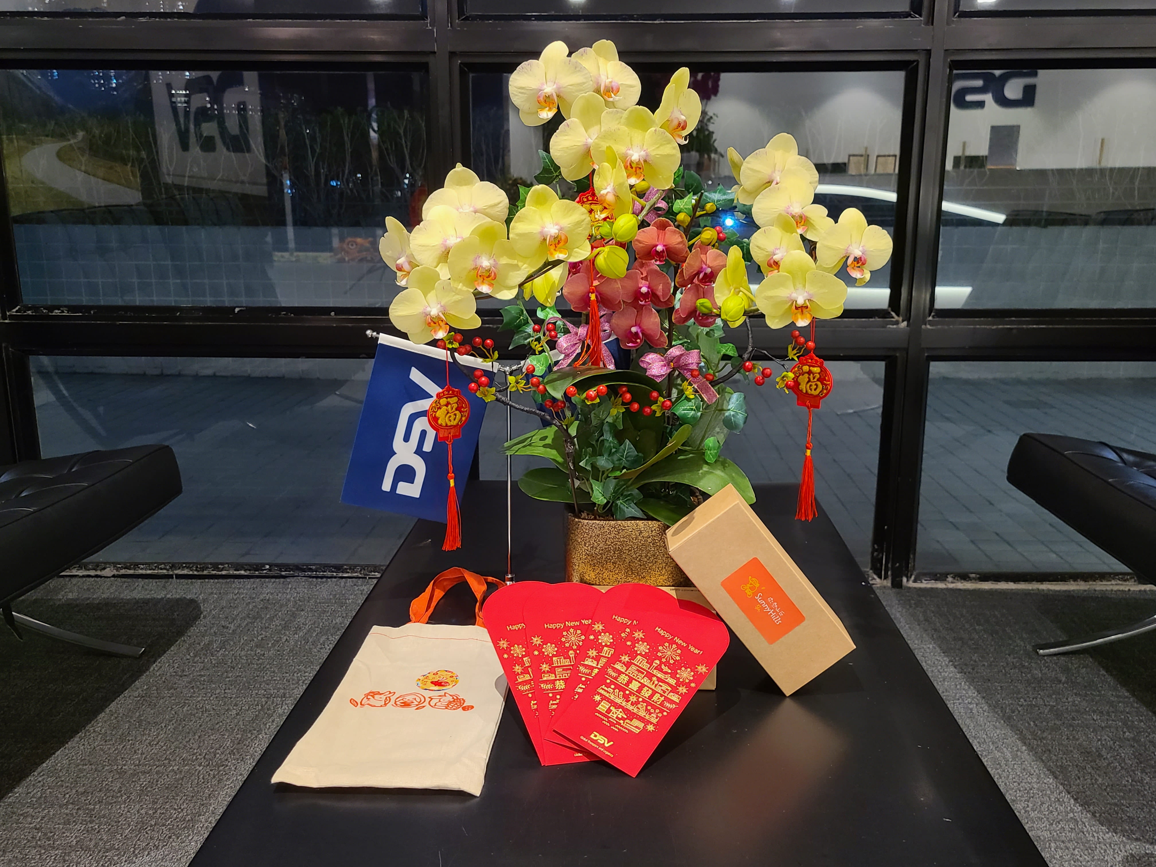 DSV about Chinese New Year